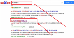 山東海川飾品有限公司與我司做SEO培訓(xùn)教程項(xiàng)目