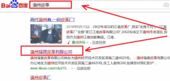 溫州瑞普皮革有限公司與我司做網站建設項目