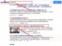 山東飛源科技有限公司與我司簽下關鍵詞搜索排名協(xié)議