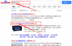黑龍江省龍?jiān)醋詣踊瘍x器儀表有限公司和本公司簽約關(guān)鍵詞優(yōu)化排名合同