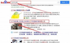 遼寧百盈碳纖維有限公司和本公司簽約關鍵詞優化排名合同