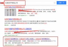 東莞*祥通信科技有限公司與海洋網絡簽署SEO培訓教程項目