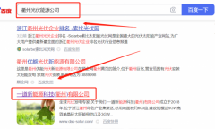 一*新能源科技（衢州）有限公司關鍵詞推廣網絡營銷優化公司