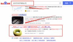 武漢第*電線電纜有限公司網站排名到首頁按天扣費