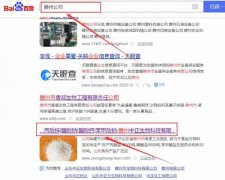 滕州中*生物科技有限公司網站優(yōu)化最快上詞效果展示