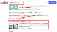 漳州市南*星晨電子儀器有限公司網站推廣到首頁按天扣費