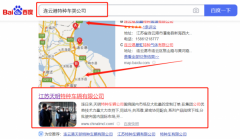 江蘇天*特種車(chē)輛有限公司網(wǎng)站SEO優(yōu)化到首頁(yè)按天扣費(fèi)