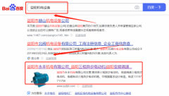 益陽市永*機(jī)電有限公司網(wǎng)絡(luò)營(yíng)銷證在首頁(yè)效果