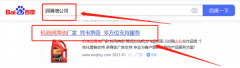 韋*奇石油科技（上海）有限公司seo優化案例欣賞