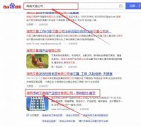 海南傳*文昌雞產業股份有限公司網站優化讓網站輕松覆蓋在搜索引擎