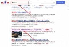 鷹潭精*制造有限公司網站優化最快上詞效果展示
