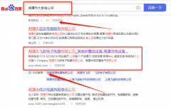 湘潭市飛*電子電器有限公司網站SEO優化品牌營銷策劃機構