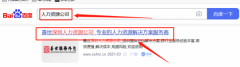 善*（廣東）企業(yè)服務外包有限公司seo優(yōu)化案例欣賞