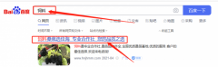  海寧市周*廟鎮(zhèn)佳海苗木專(zhuān)業(yè)合作社seo推廣案例欣賞