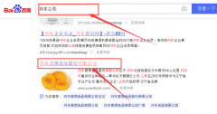 丹東君*食品股份有限公司網站優化排名效果展示