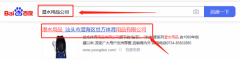 汕頭市澄海區世*體育用品有限公司網站建設制作設計案例欣賞