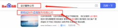 斯*拉財務(wù)咨詢服務(wù)（北京）有限公司網(wǎng)站建設(shè)設(shè)計案例欣賞