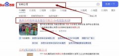 陜西長*特種設備股份有限公司網站優化到首頁按天扣費