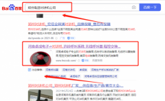 鄭州市金水區(qū)*成電子產(chǎn)品經(jīng)營部網(wǎng)絡(luò)營銷保證在首頁效果