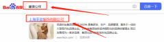 上海菲*服飾有限公司網站建設制作設計案例欣賞