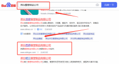 邢臺(tái)西*橡塑制品有限公司萬(wàn)詞霸屏營(yíng)銷+精準(zhǔn)獲客