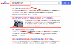 遼寧*達(dá)能源技術(shù)有限公司網(wǎng)絡(luò)營銷營銷+精準(zhǔn)獲客