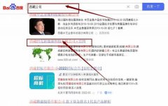 西藏凹*新能源科技有限公司網站優化最快上詞效果展示