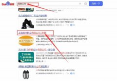 上海翰*鞋業有限公司網站排名讓網站輕松覆蓋在搜索引擎
