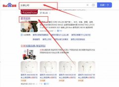 廣州麥*品牌運(yùn)營管理有限公司百度排名參考網(wǎng)站